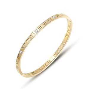 Ins 18K Gold Plated Zircon Bangle