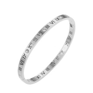 Ins Stainless Steel Zircon Bangle