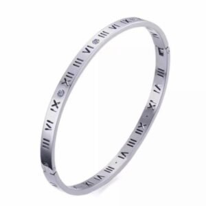 Titanium Roman Numeral Zircorn Bangles
