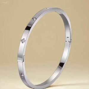 Titanium Silver bangle with rivets and zircon