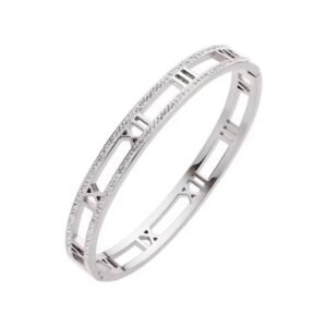 Titanium silver Roman numerals bangle with Zircon